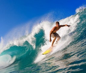 开云体育登录-切特神兵天降，深圳队完胜辽宁队，关键先生改写战局